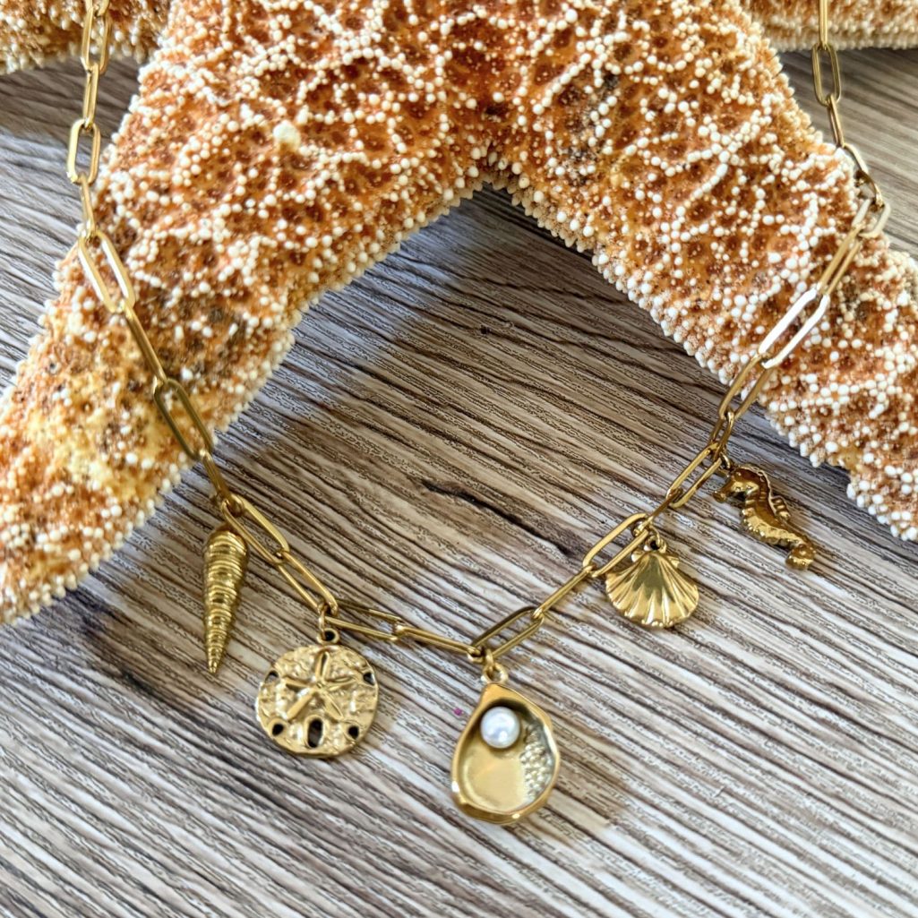 Beach Seashell Stainless Steel - Gold - 20 inch Paper Clip Necklace image 1