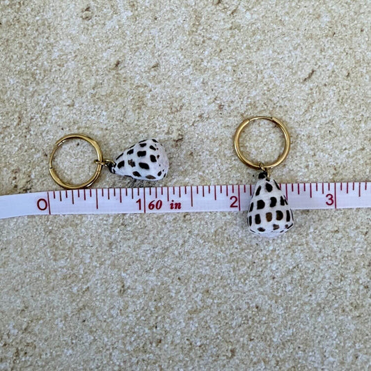 Hebrew Hawaiian Shell Huggie Earrings