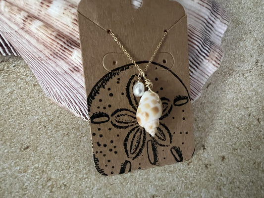 Babylonia Seashell Gold Filled Seashell Necklace image 0
