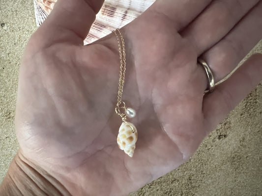 Babylonia Seashell Gold Filled Seashell Necklace image 1