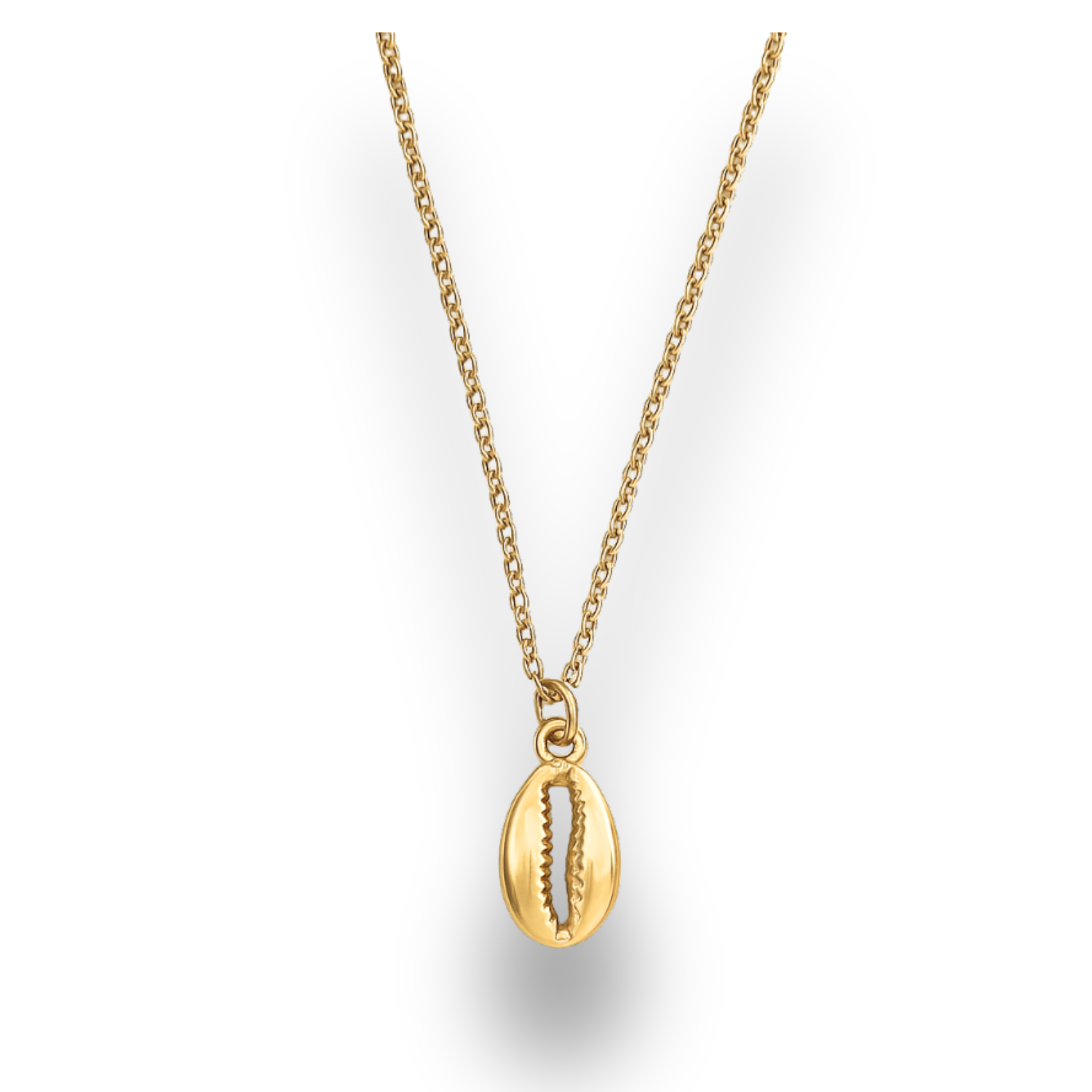 Gold necklace with a shell pendant