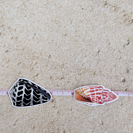 Hawaiian Seashell Stickers