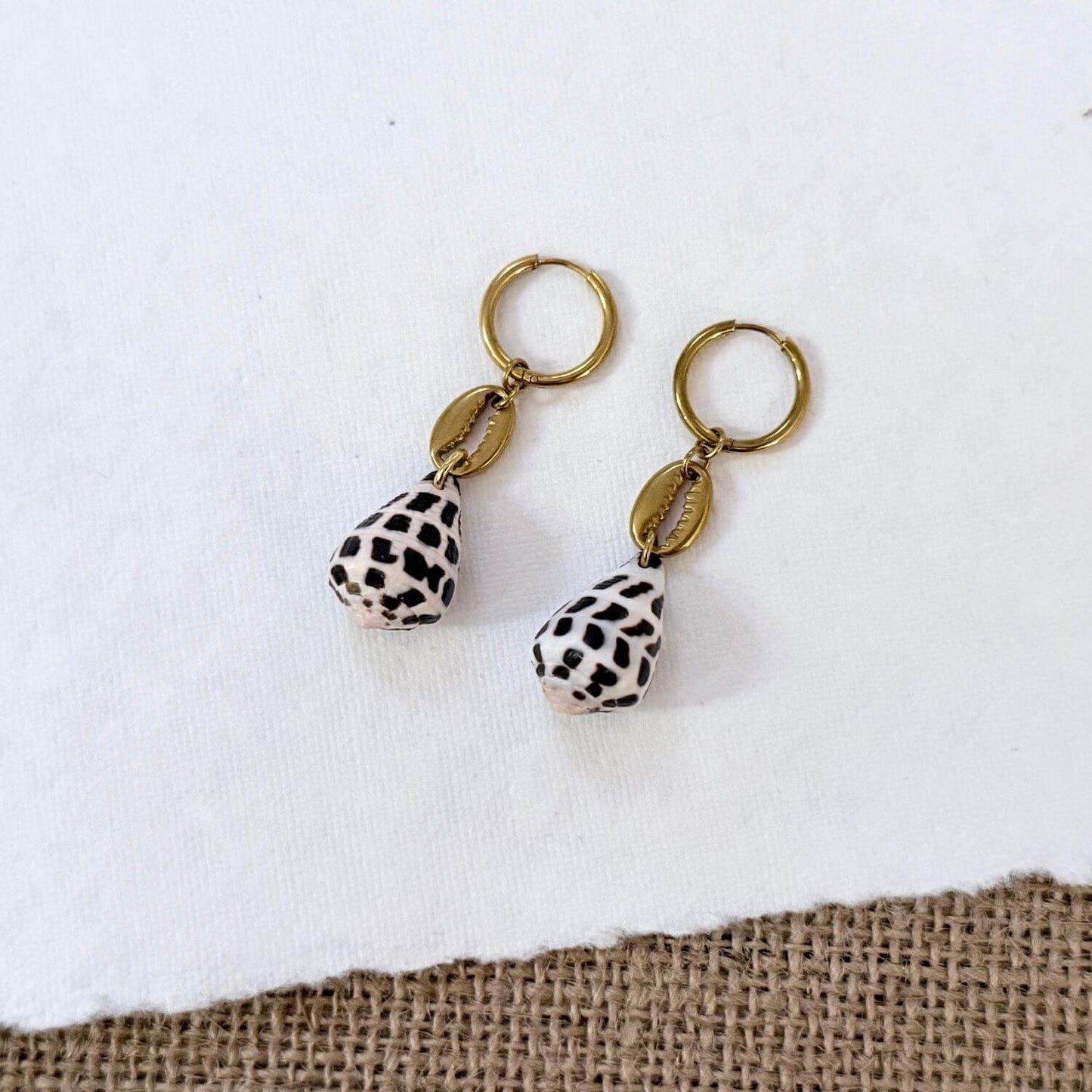 Hebrew Hawaiian Cowrie Seashell Huggie Earrings