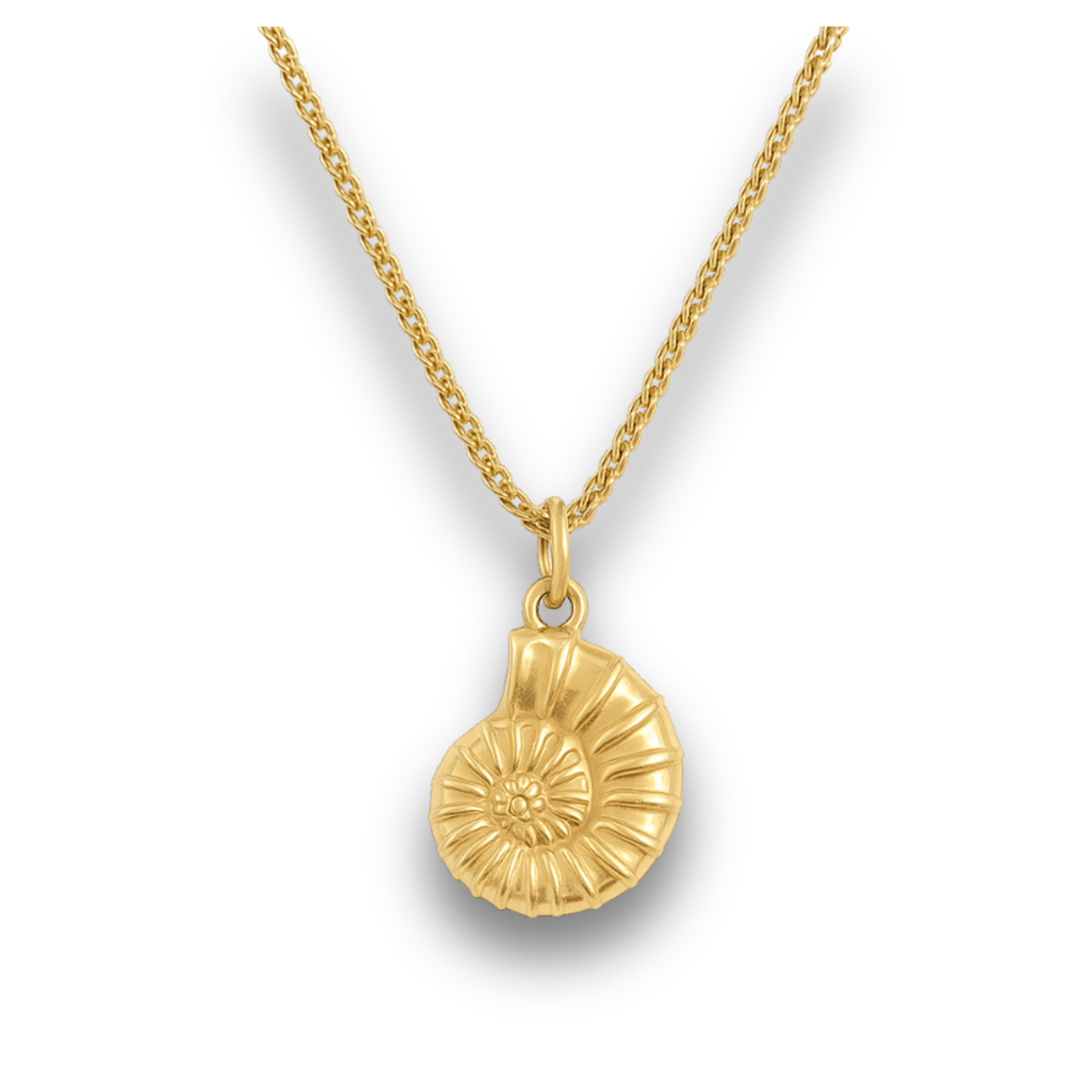 Nautilus - Gold Stainless Charm Necklace