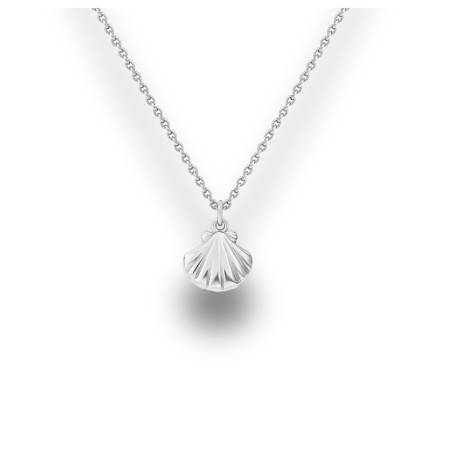 Scallop Shell - Silver Stainless Charm Necklace