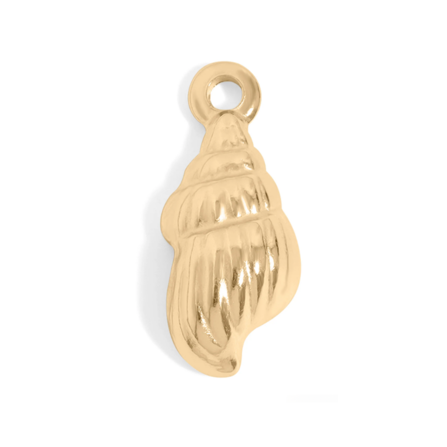 Seashell - Gold Stainless Charm Necklace