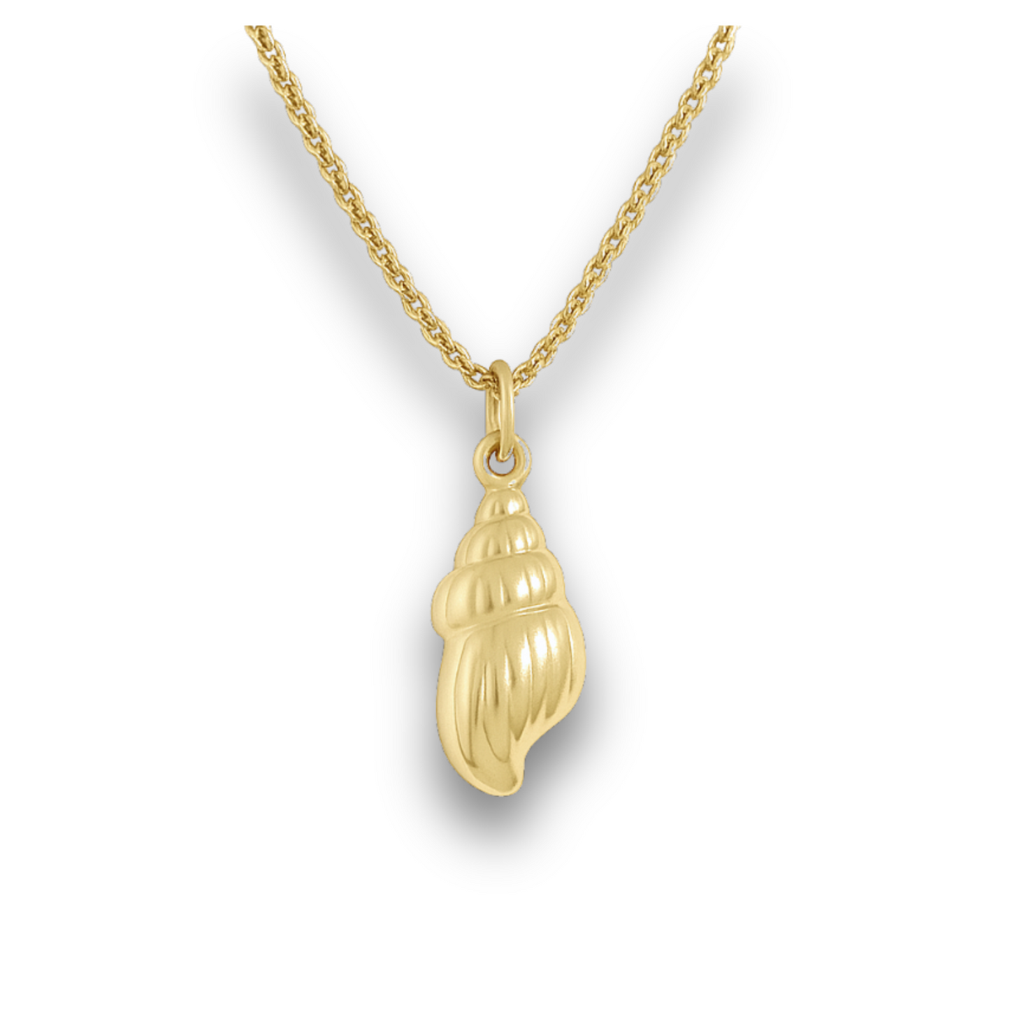 Seashell Gold Stainless Charm Necklace