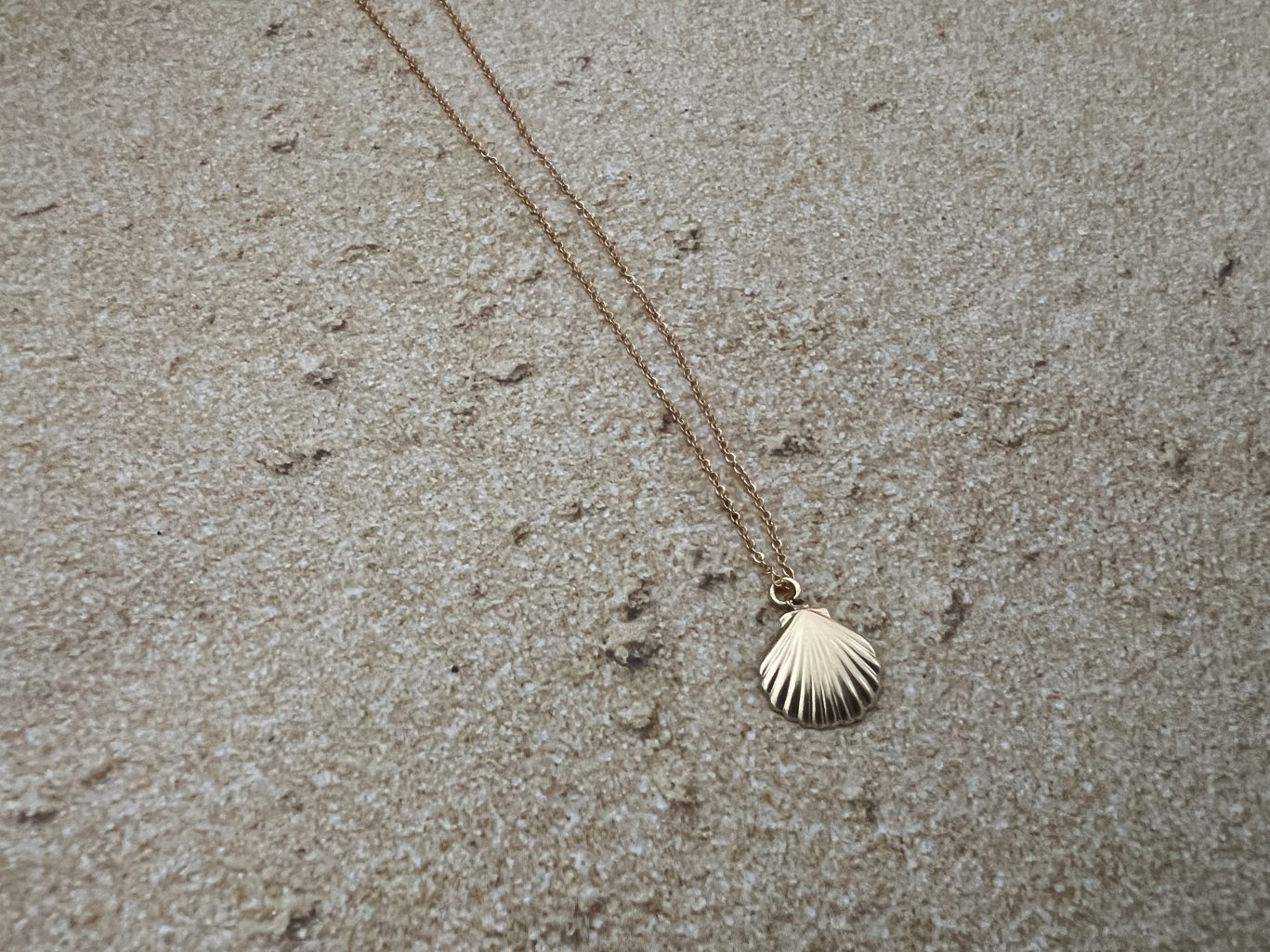 Dainty Gold Filled Seashell Necklace - 18 inches image 2