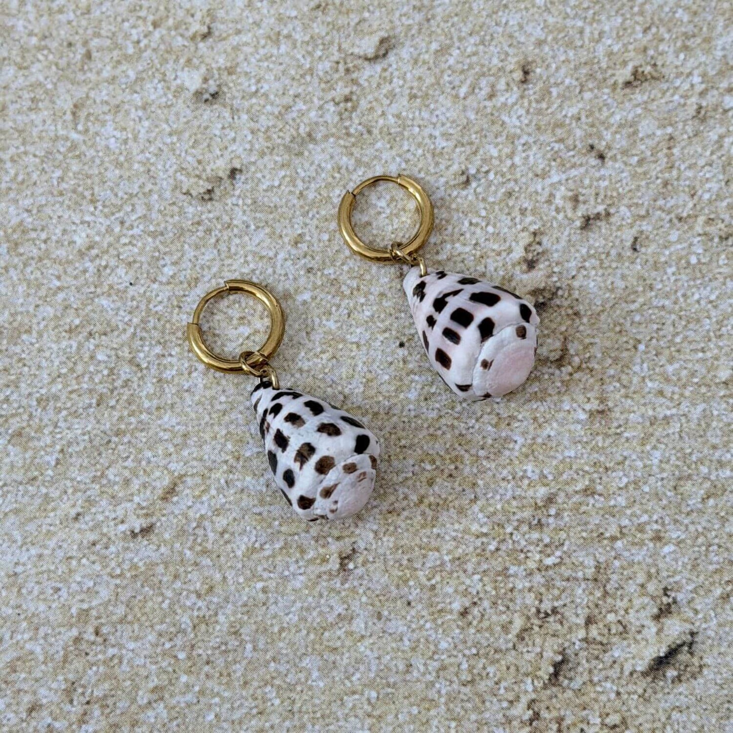 Hebrew Cone Hawaiian Seashell Bikini Charm
