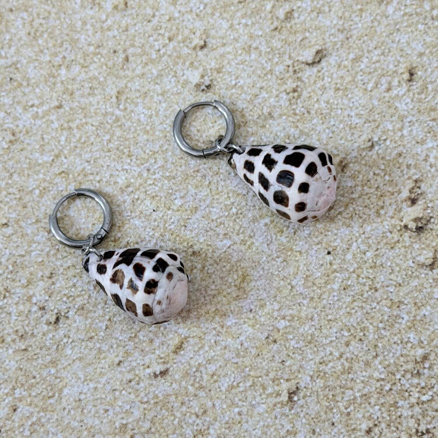 Hebrew Cone Hawaiian Seashell Bikini Charm