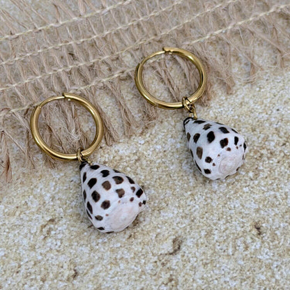 Hebrew Hawaiian Shell Huggie Earrings
