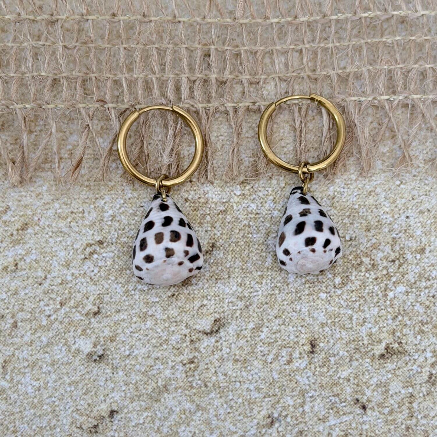 Hebrew Hawaiian Shell Huggie Earrings