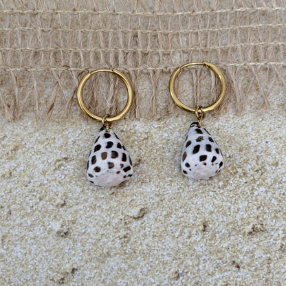 Hebrew Hawaiian Shell Huggie Earrings
