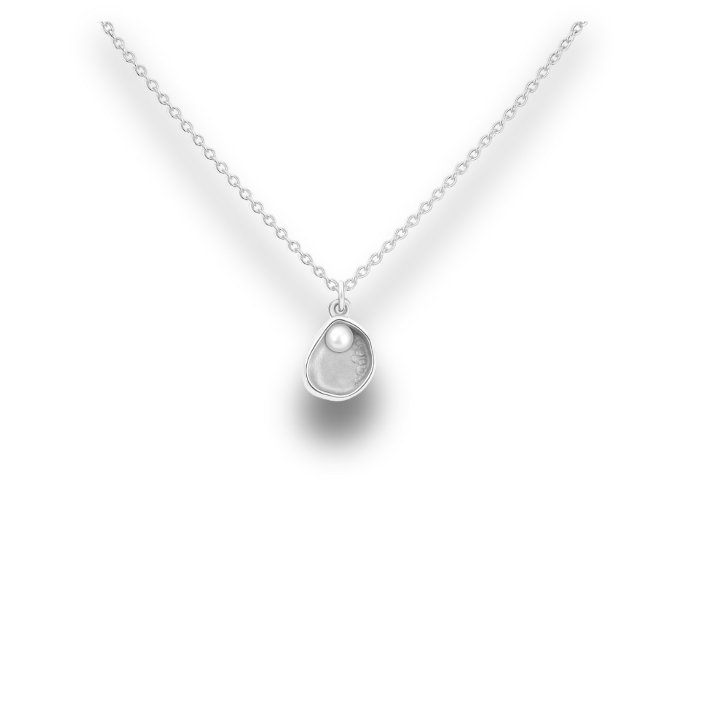 Abalone Seashell - Silver Stainless Charm Necklace