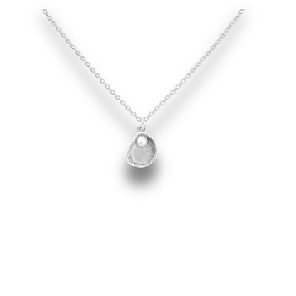 Abalone Seashell - Silver Stainless Charm Necklace
