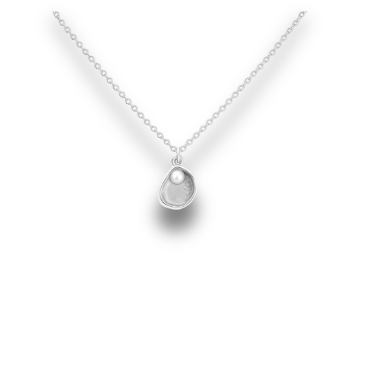 Abalone Seashell - Silver Stainless Charm Necklace
