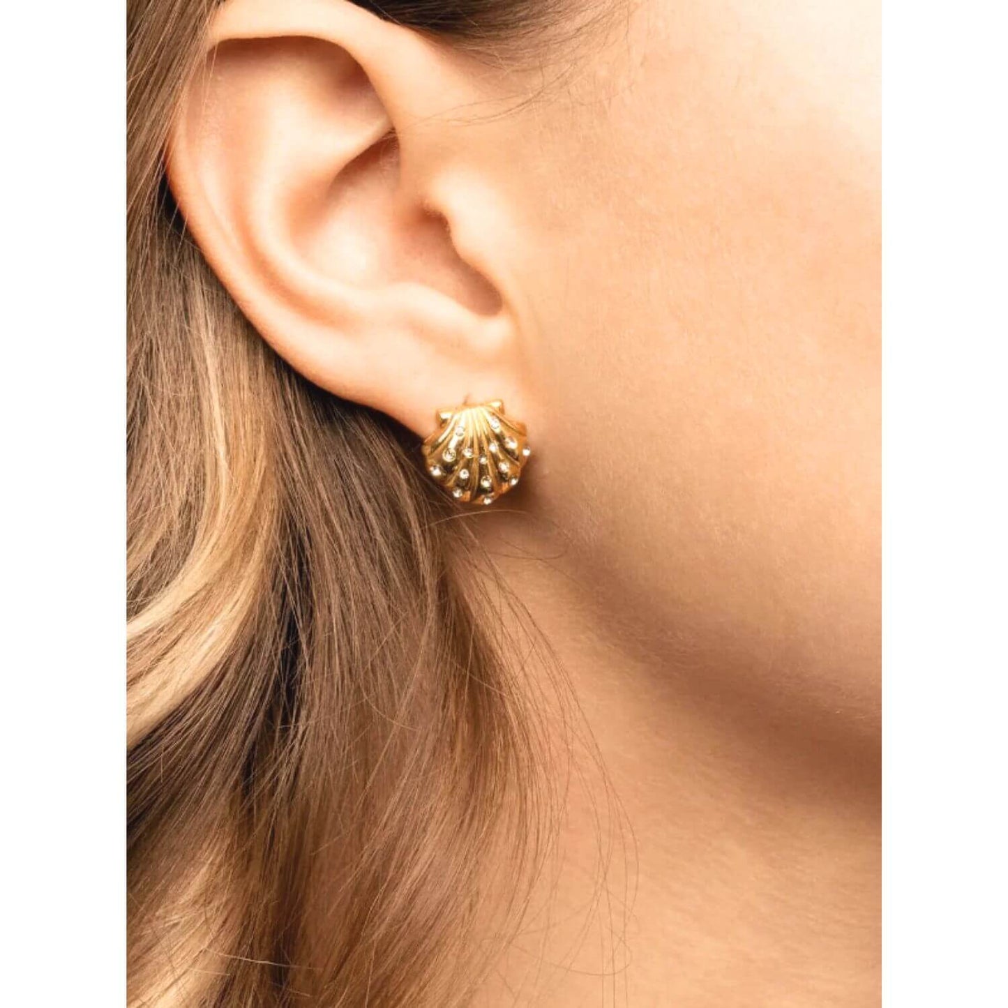 Ariel Seashell Stud Earrings