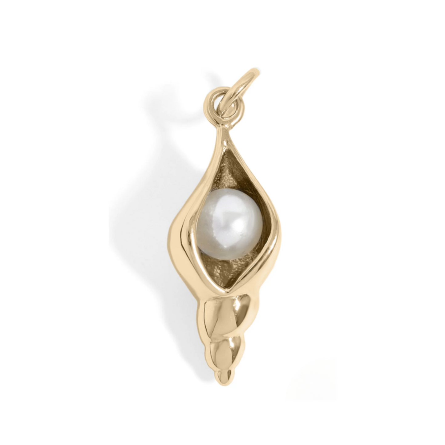 Conch Shell - Gold Stainless Charm Necklace