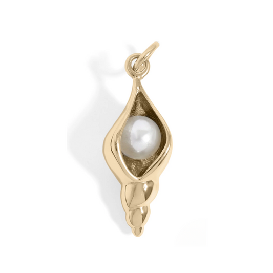 Conch Shell - Gold Stainless Charm Necklace