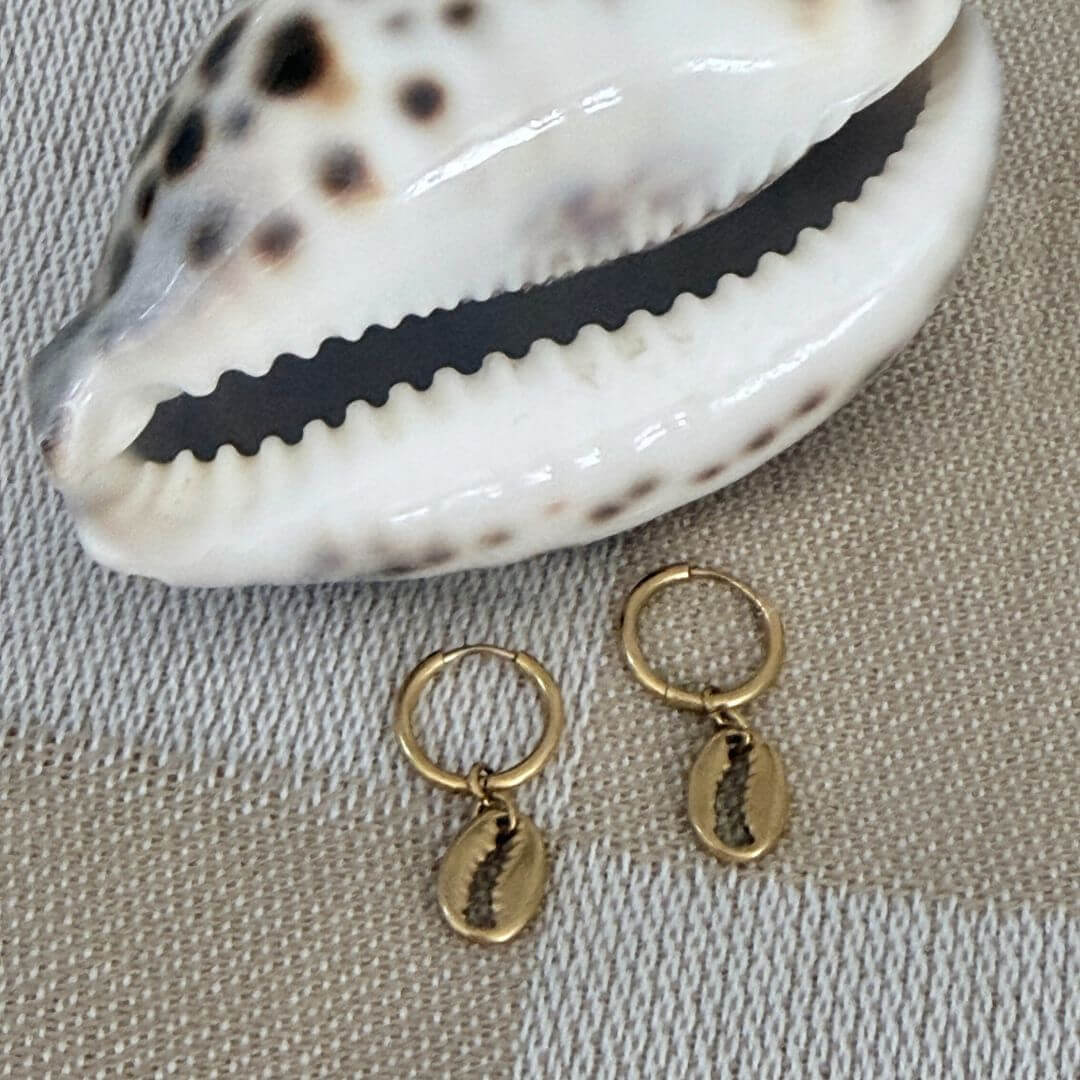 Cowrie Seashell Huggie Earrings