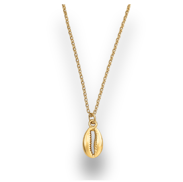 cowrie charm.png