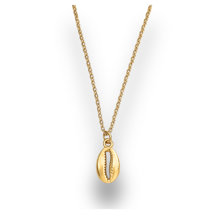 cowrie charm.png