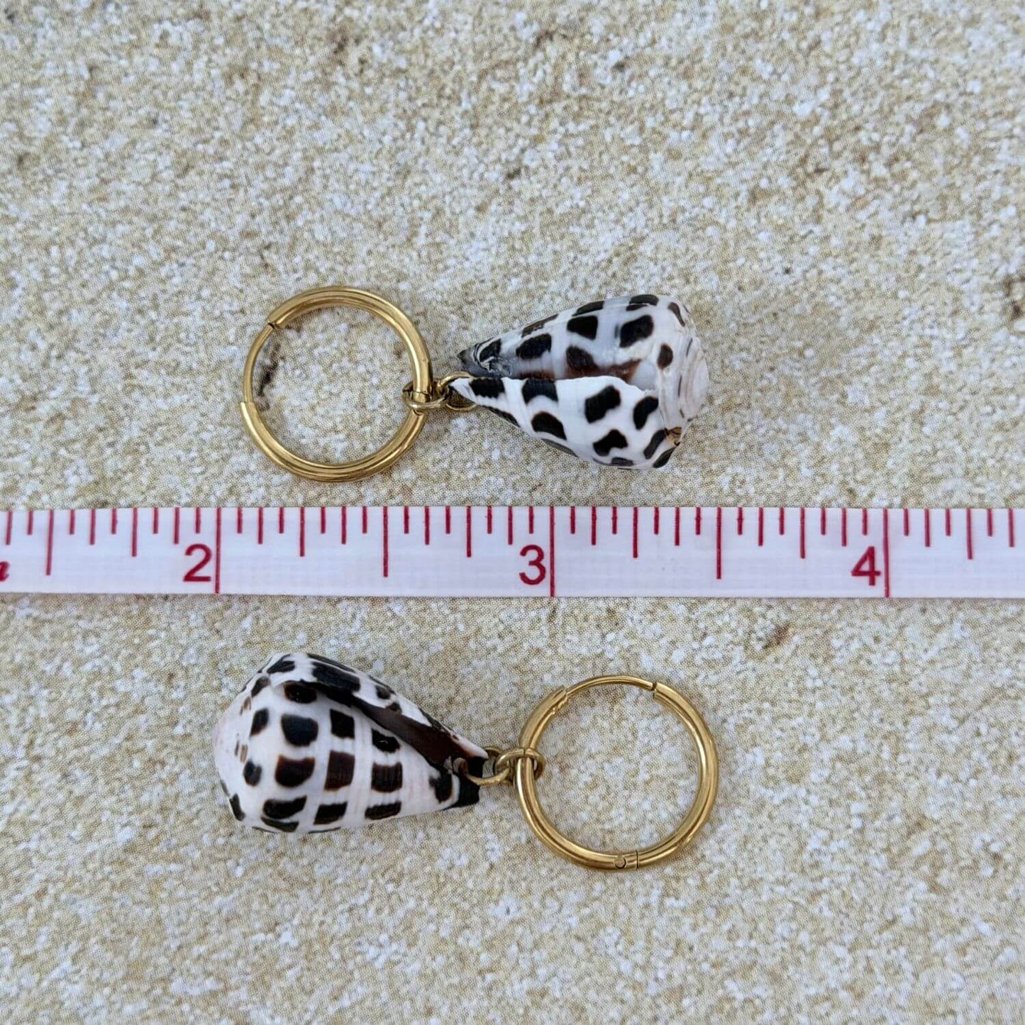 Hebrew Hawaiian Shell Huggie Earrings