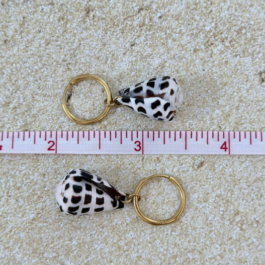 Hebrew Hawaiian Shell Huggie Earrings