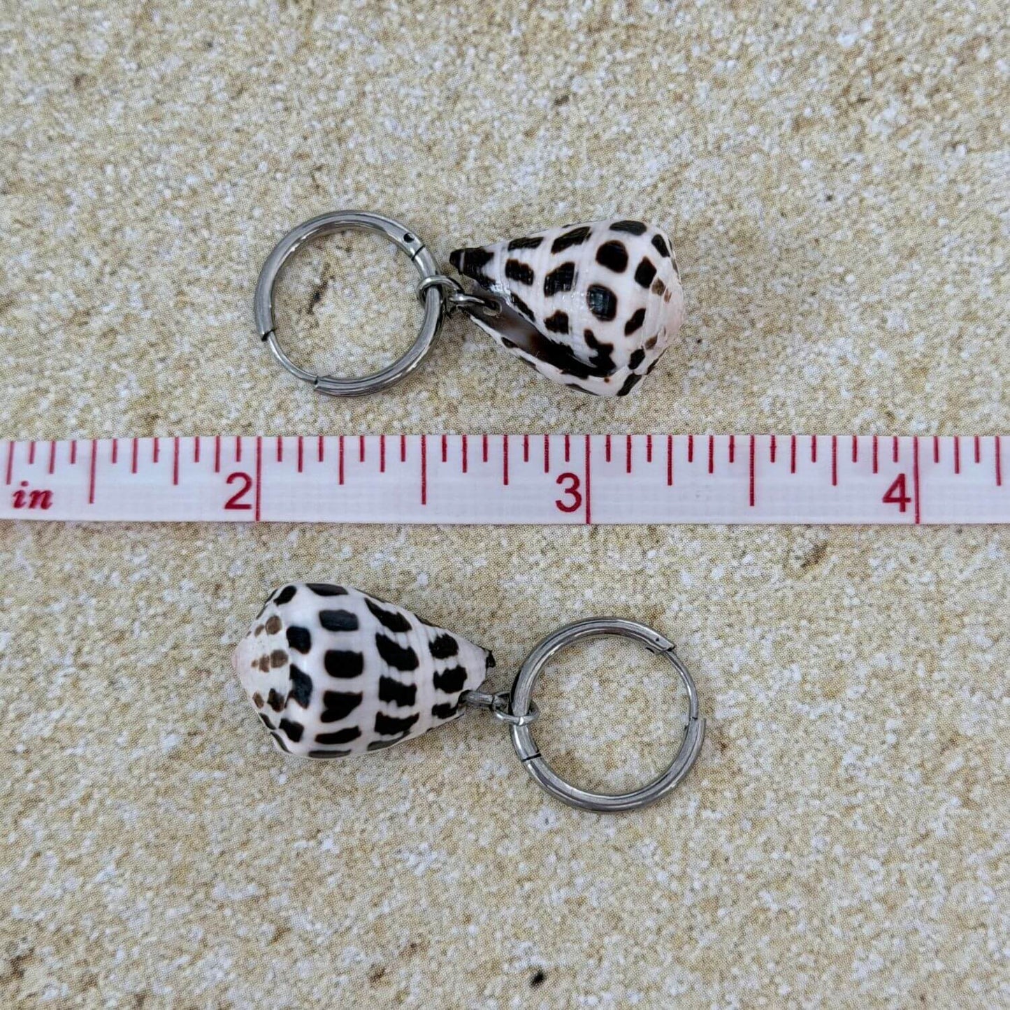 Hebrew Hawaiian Shell Huggie Earrings - Silver
