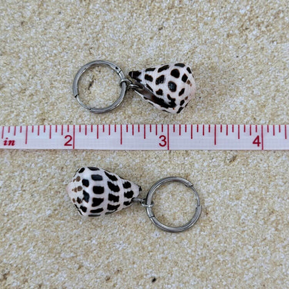 Hebrew Hawaiian Shell Huggie Earrings - Silver