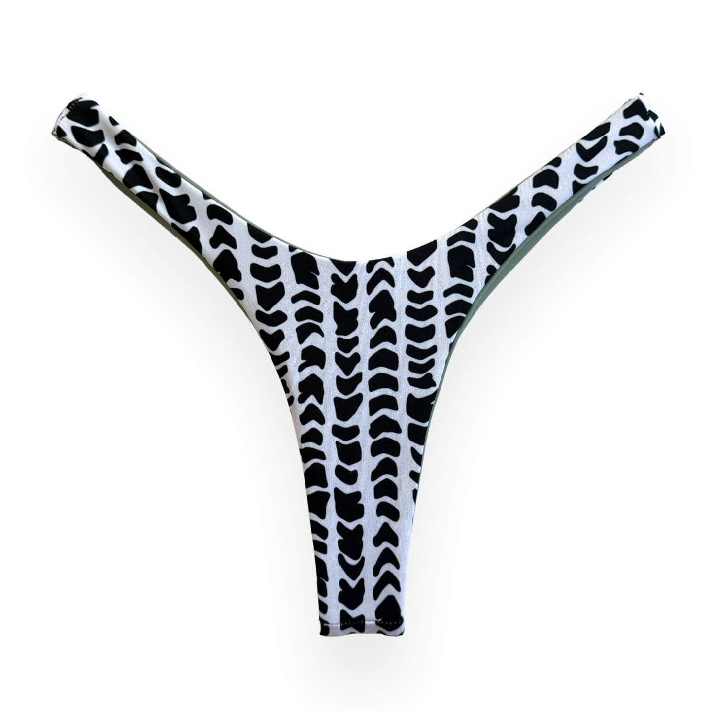 Laguna Bikini Bottom - Hebrew Cone Seashell