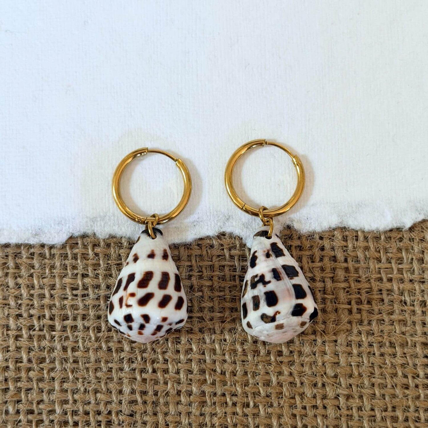 Hebrew Hawaiian Shell Huggie Earrings