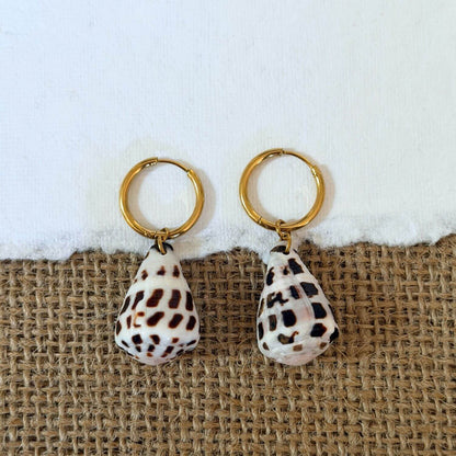 Hebrew Hawaiian Shell Huggie Earrings