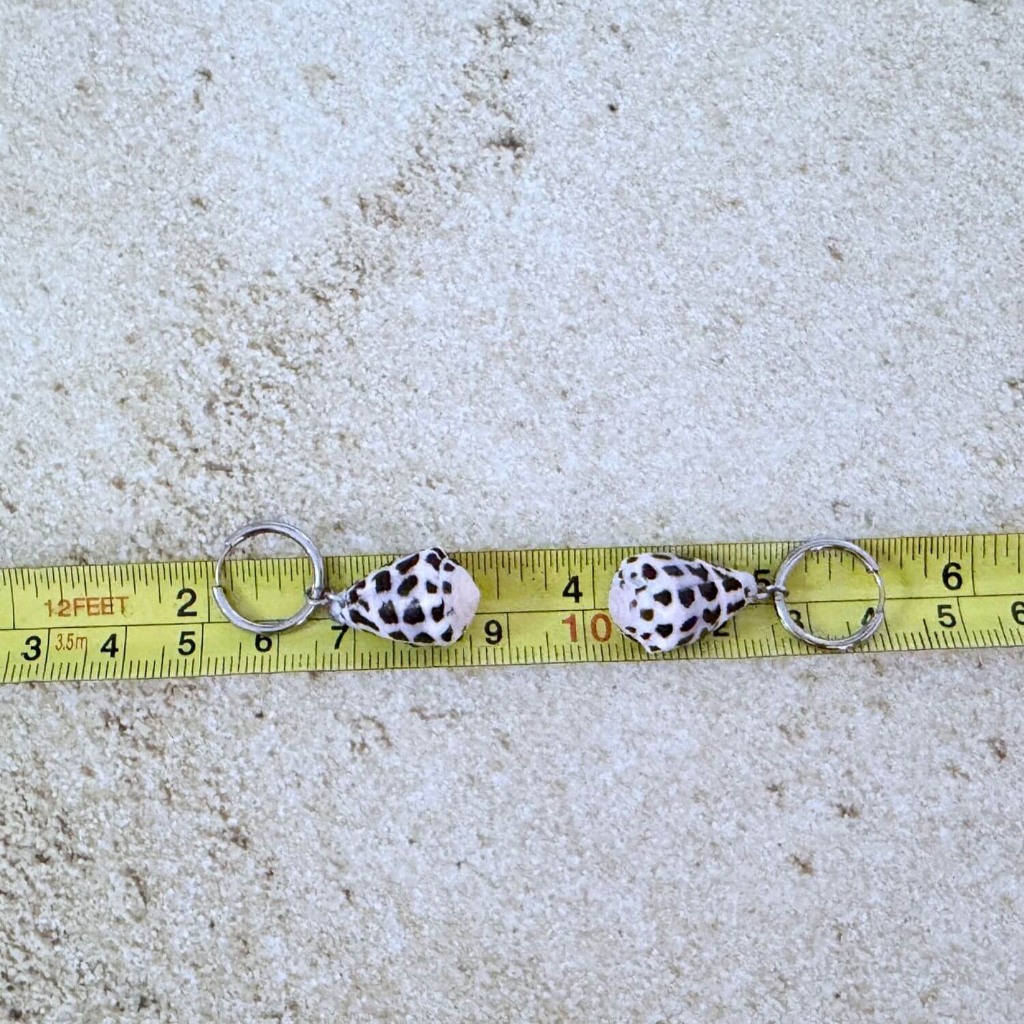 Hebrew Hawaiian Shell Huggie Earrings - Silver