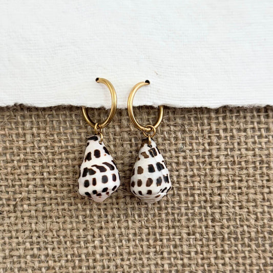 Hebrew Hawaiian Shell Huggie Earrings