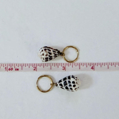 Hebrew Hawaiian Shell Huggie Earrings