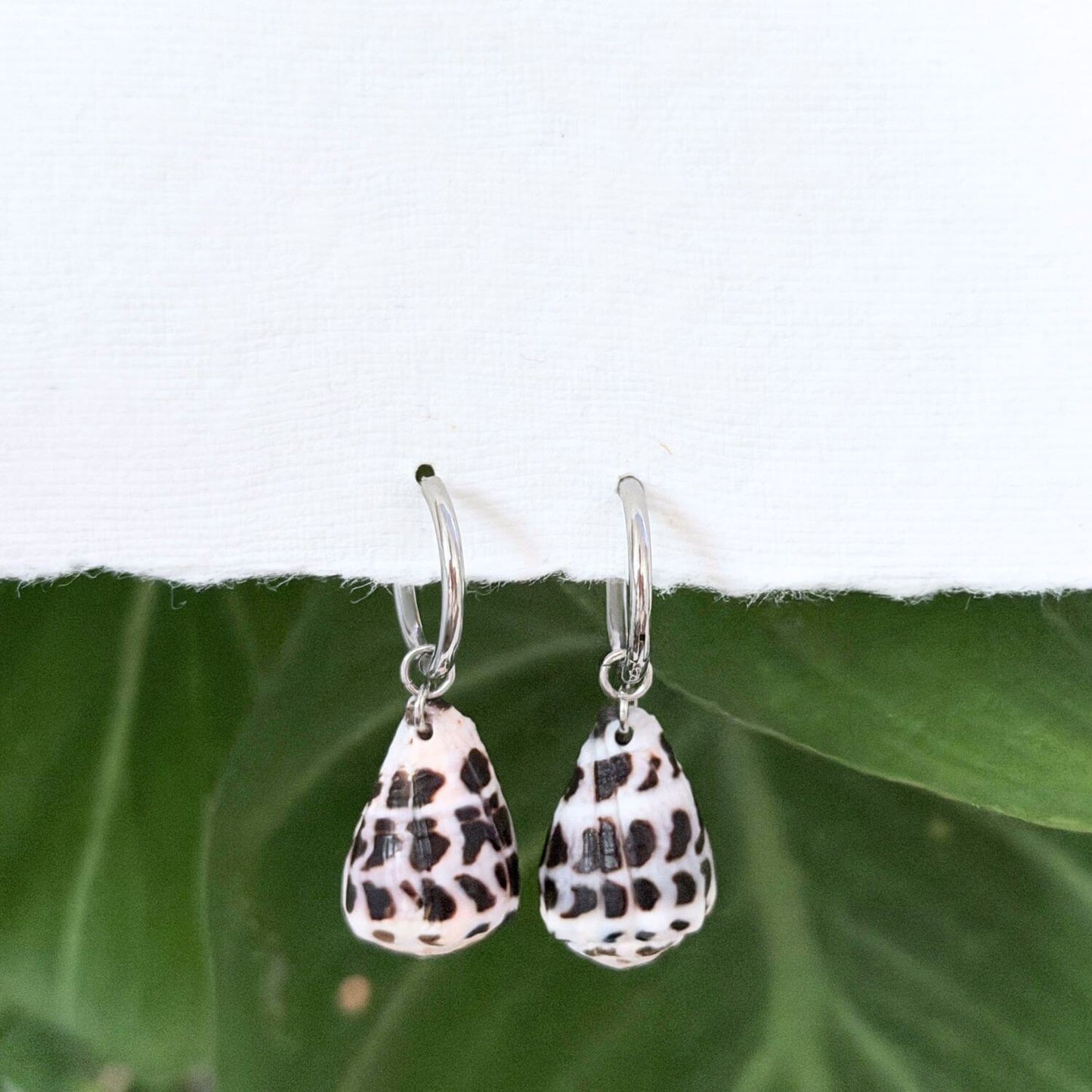 Hebrew Hawaiian Shell Huggie Earrings - Silver