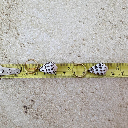 Hebrew Hawaiian Shell Huggie Earrings