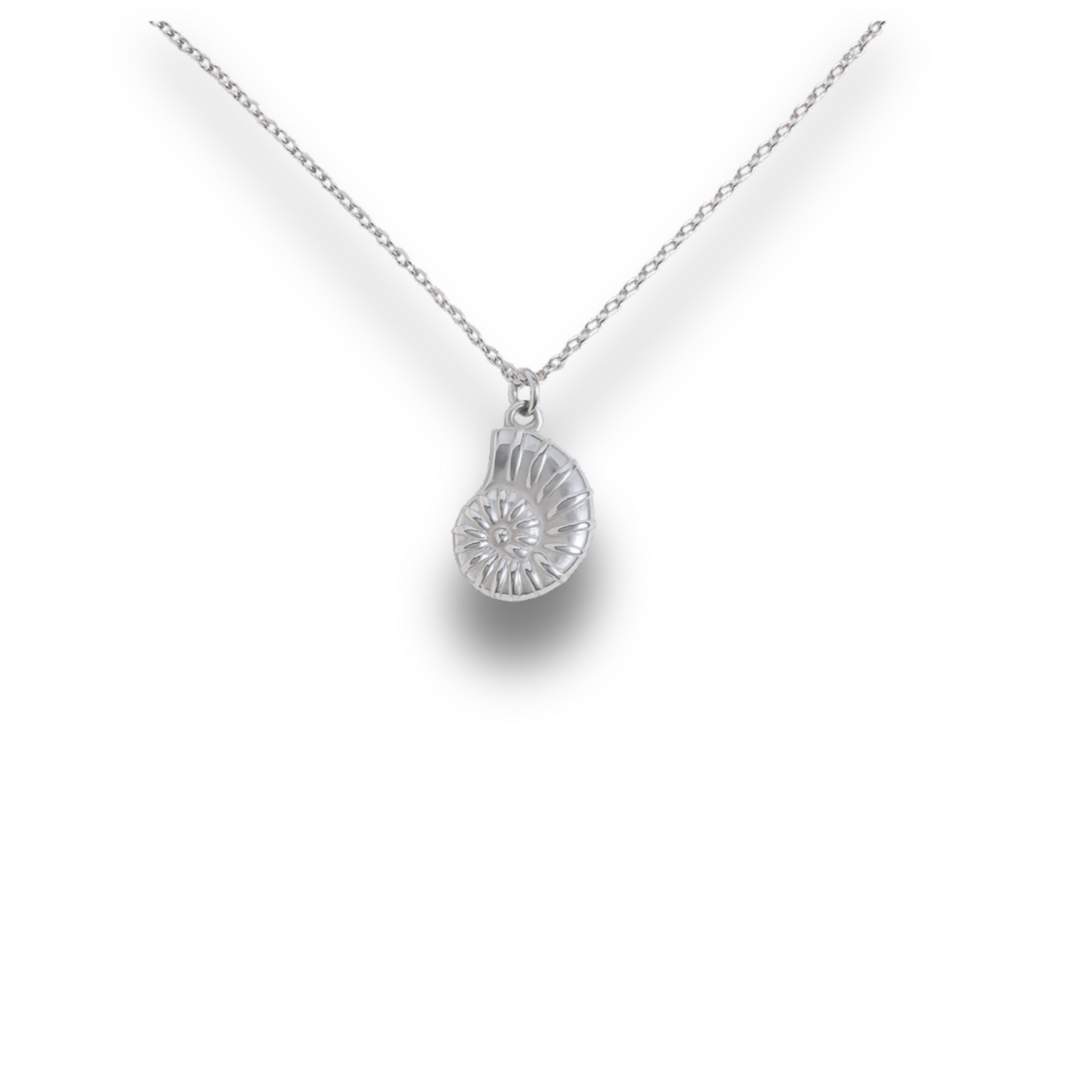 Nautilus - Silver Stainless Charm Necklace