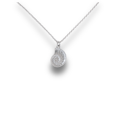 Nautilus - Silver Stainless Charm Necklace