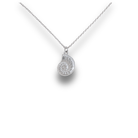 Nautilus - Silver Stainless Charm Necklace