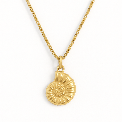 Nautilus - Gold Stainless Charm Necklace