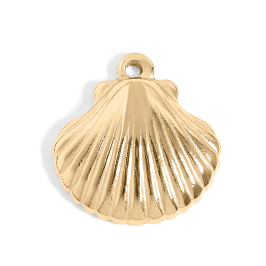 Scallop Shell - Gold Stainless Charm Necklace