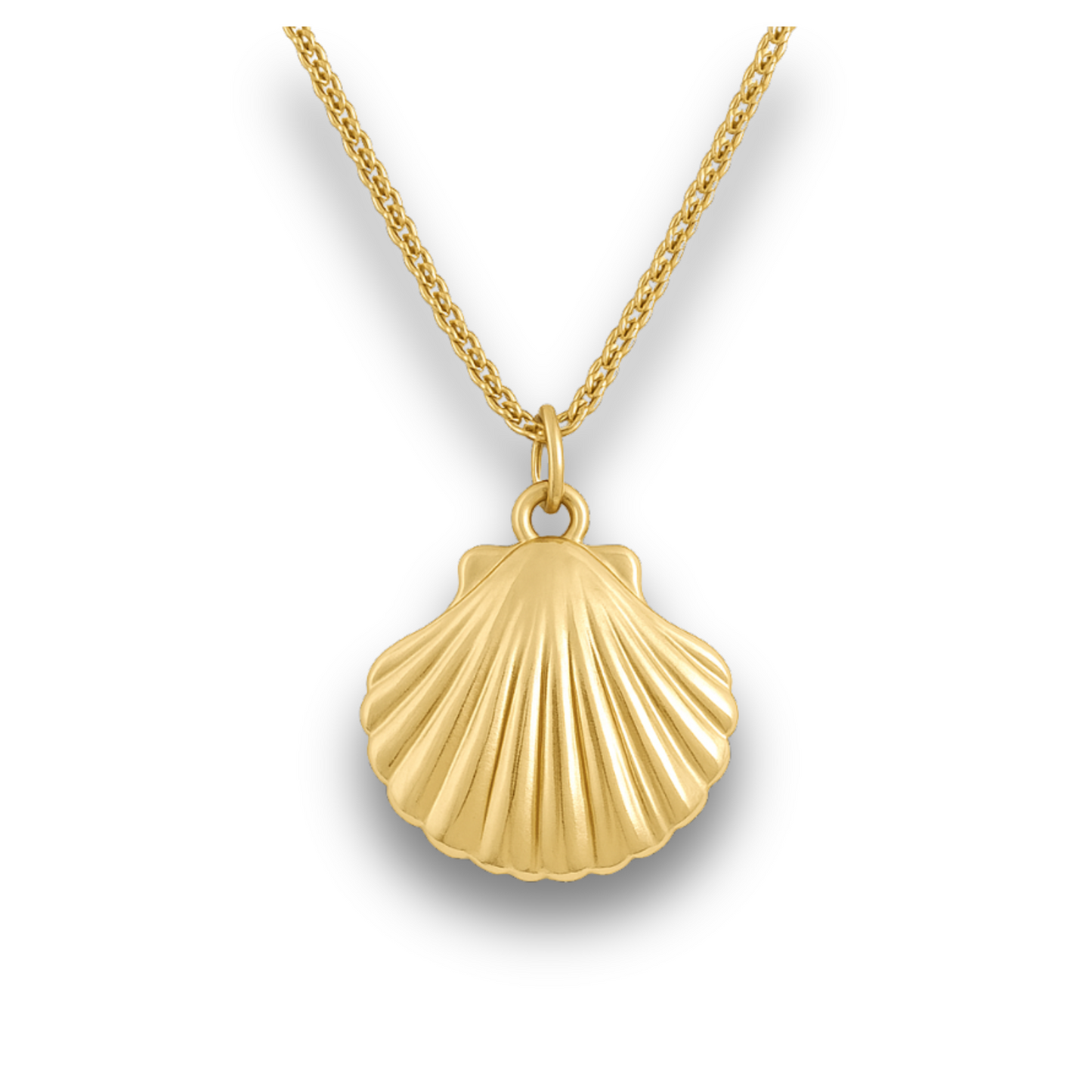 Scallop Shell Gold Stainless Charm Necklace
