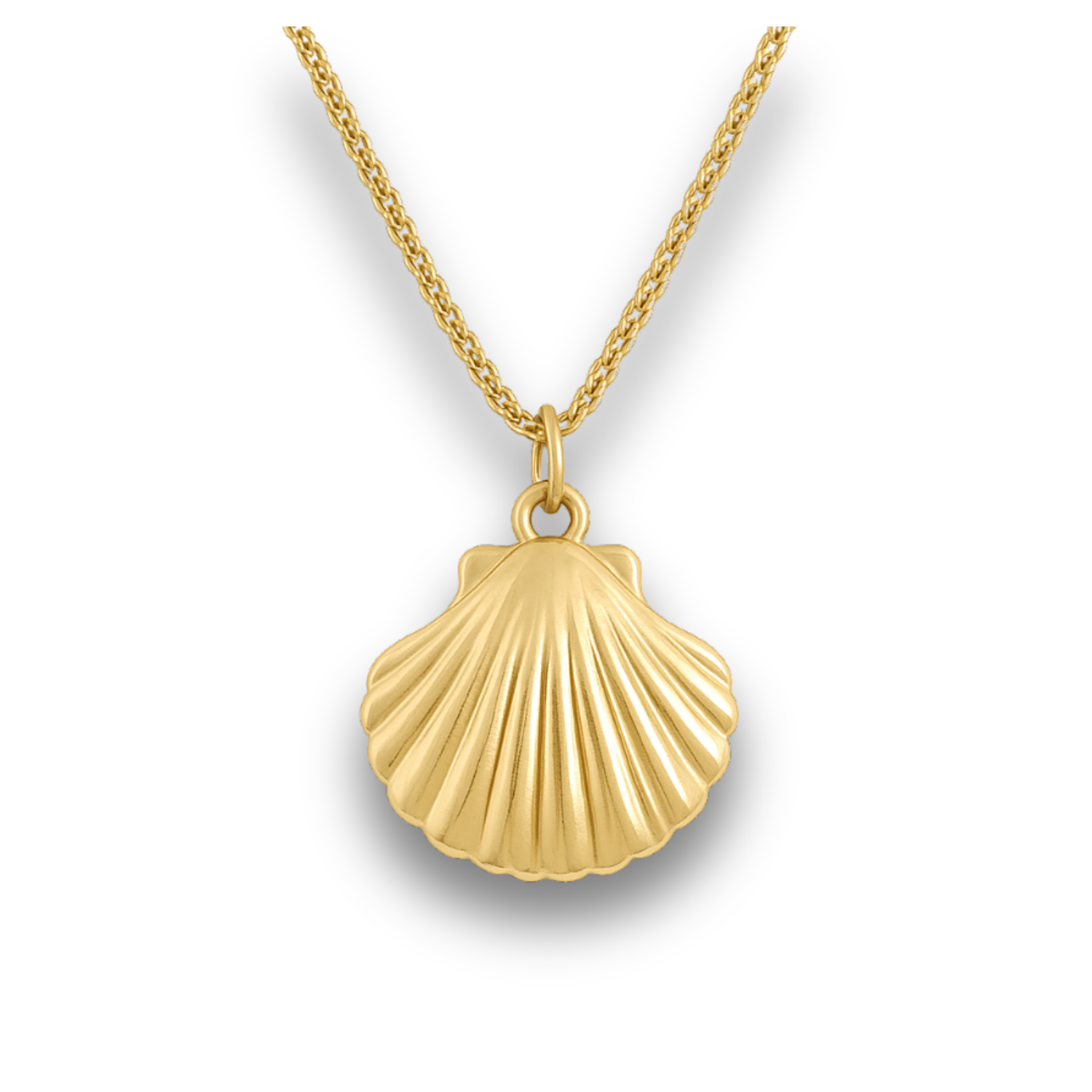 Scallop Shell Gold Stainless Charm Necklace