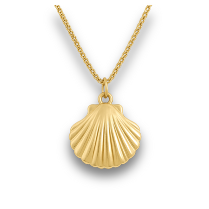 Scallop Shell Gold Stainless Charm Necklace