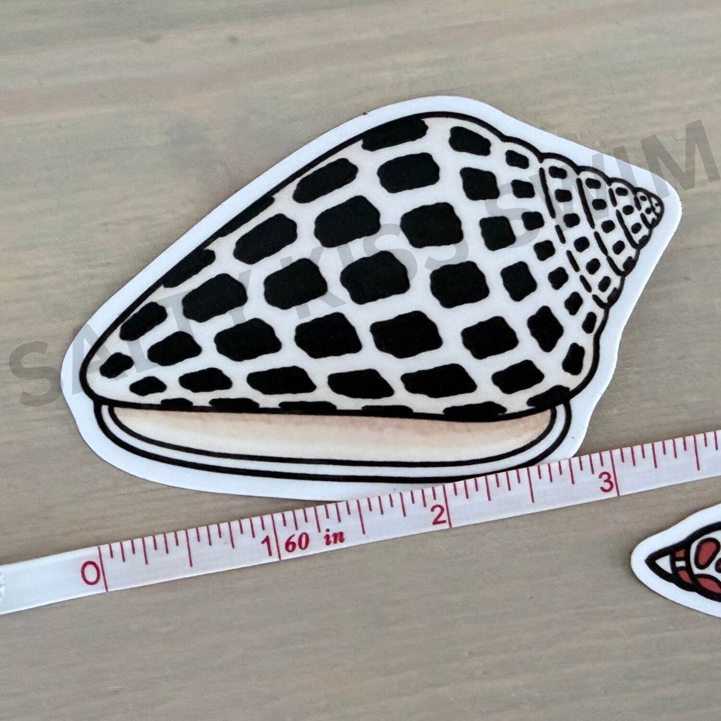 Seashell Stickers, set of 2
