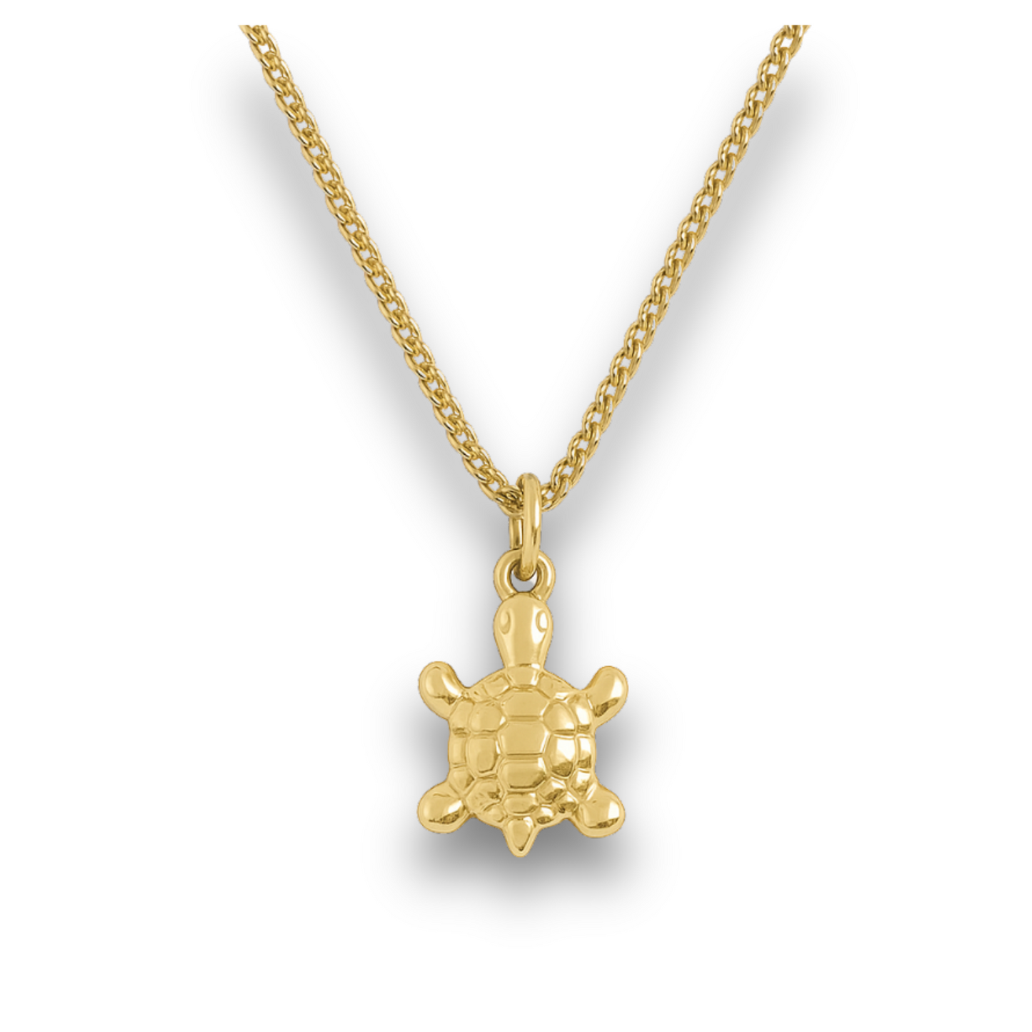 Turtle - Gold Stainless Charm Necklace
