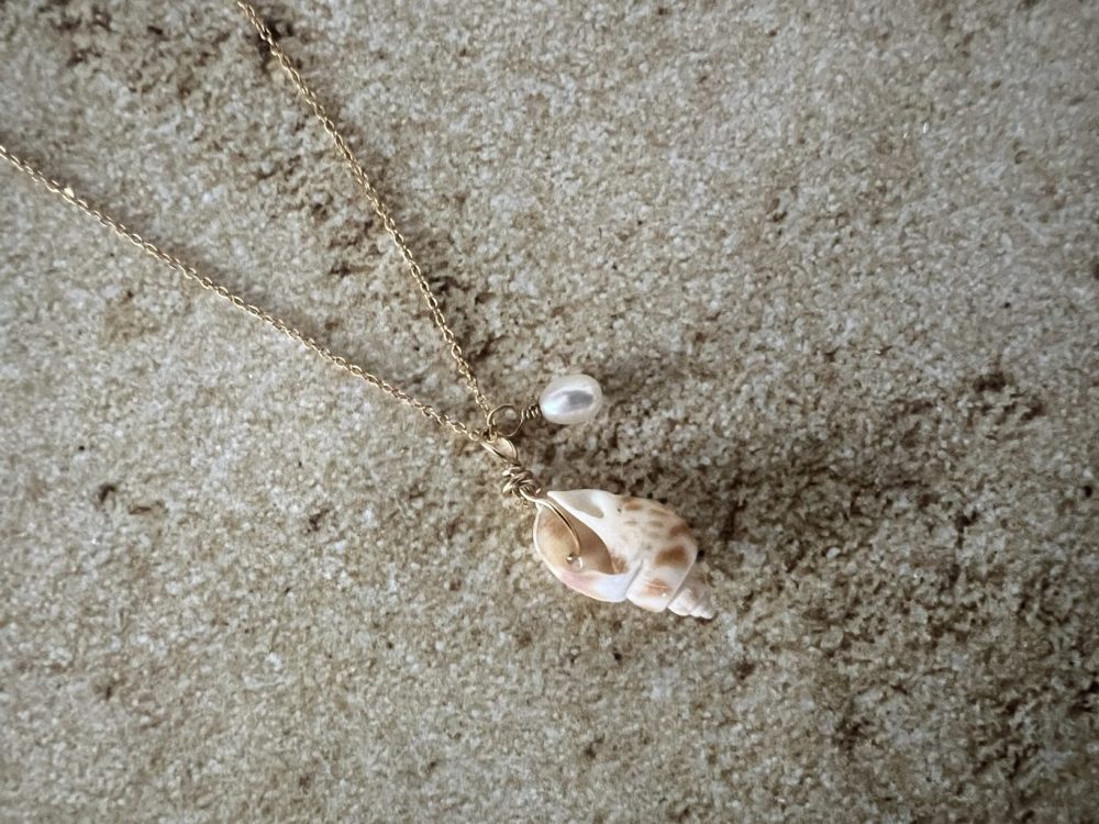 Babylonia Seashell Gold Filled Seashell Necklace - Image 3