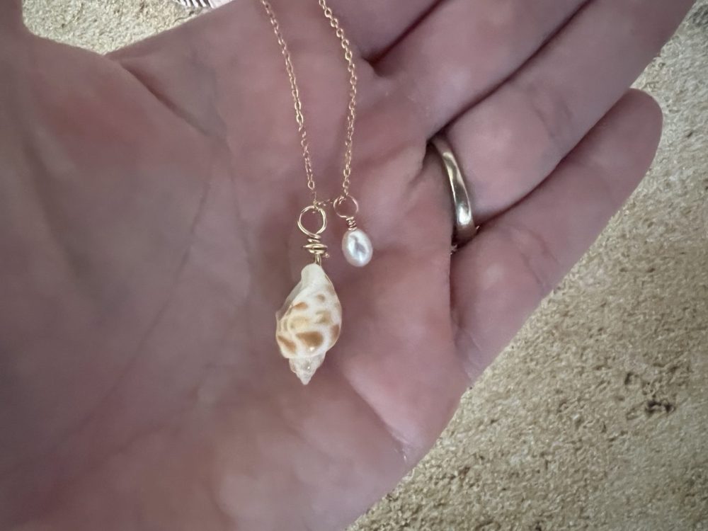 Babylonia Seashell Gold Filled Seashell Necklace - Image 4